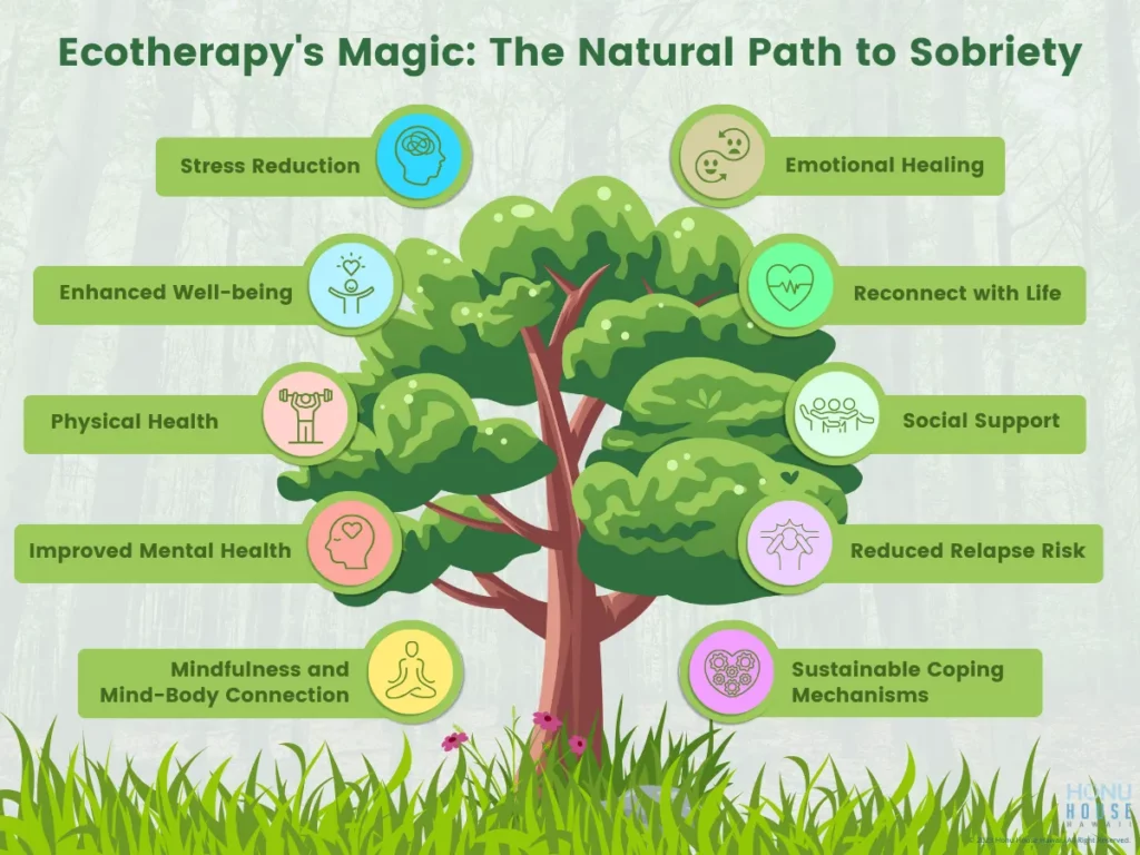Ecotherapy Magic: The Nature Path to Sobriety