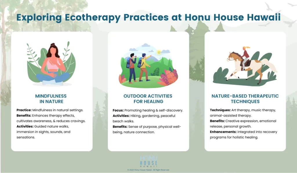 Exploring Ecotherapy Practices at Honu House Hawaii