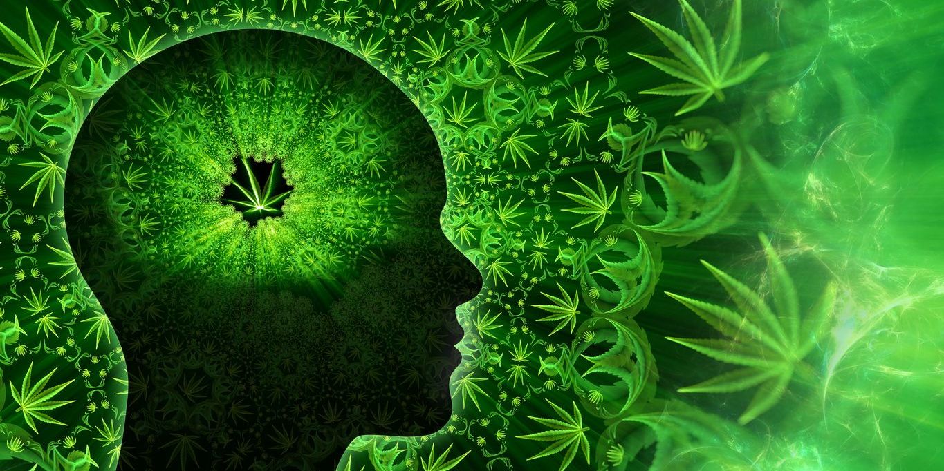 brain image with marijuana cannabis leaves