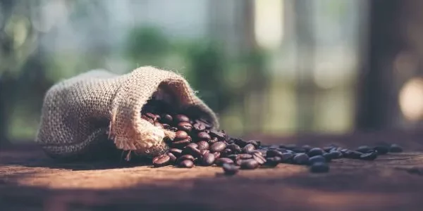 How We Grow Our Kona Coffee